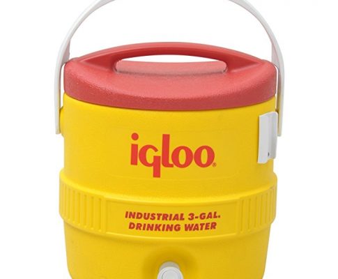 SEPTLS385431 – Igloo 400 Series Coolers – 431 Review