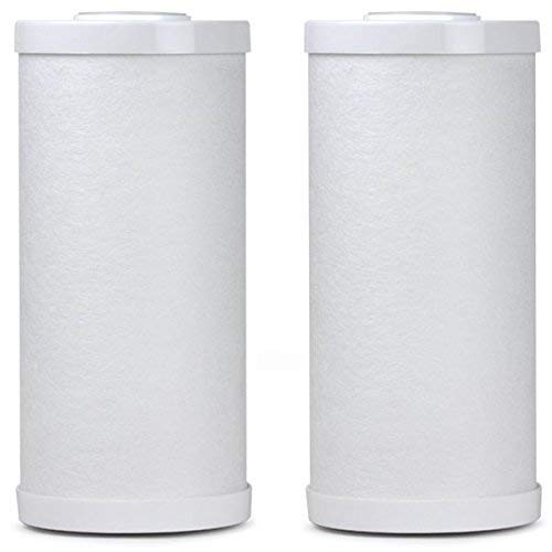 Pentek RFC-BB Whole House Filter Replacement Cartridge-- (Package Of 2)