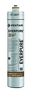 Everpure EV9612-50 BH 2 Filter Cartridge Review