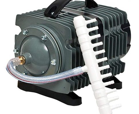 Elemental Solutions O2 Commercial Pump, 1744 gph Review